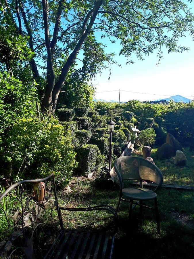 B&B Palu Lazise Exterior foto